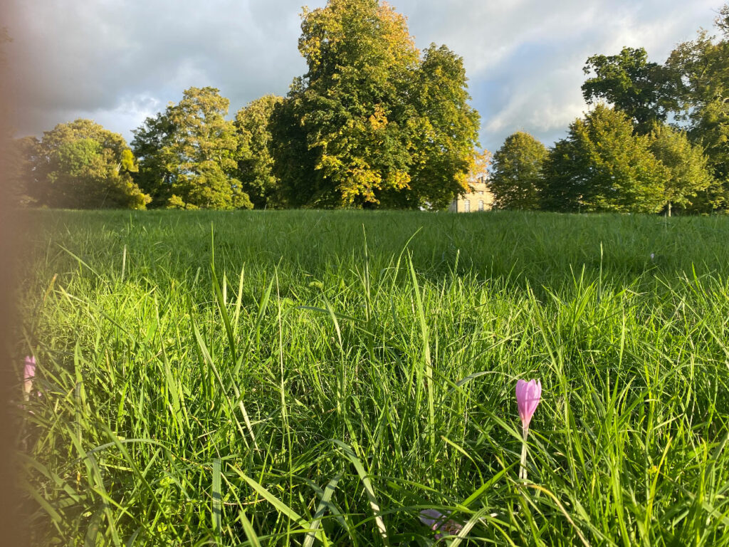 jardin du chateau du bourg saint léonard - orne